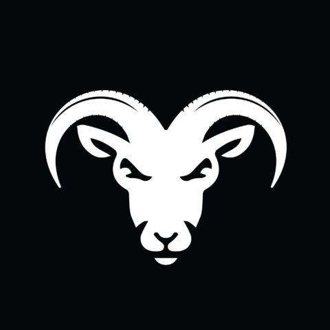 95. Goat Power Bikes